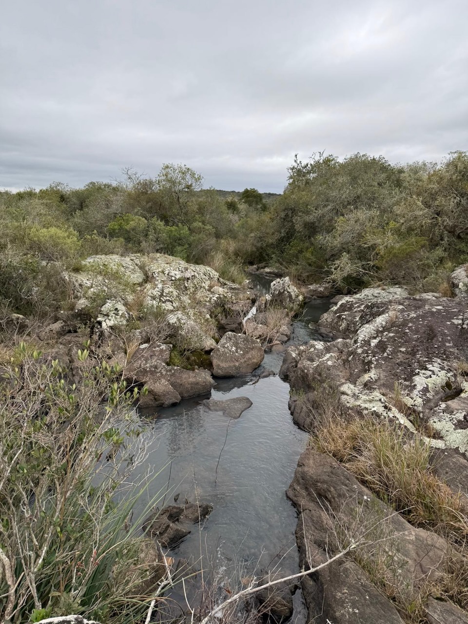 Chacra en venta en Cumbres de Aiguá, Ruta 109, Maldonado — monte nativo y sierras (foto 2)