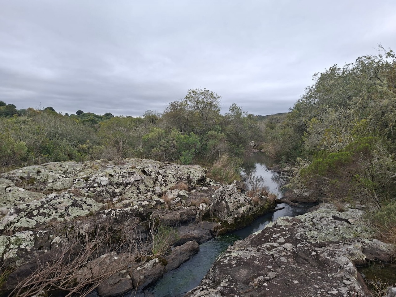 Chacra en venta en Cumbres de Aiguá, Ruta 109, Maldonado — monte nativo y sierras (foto 3)
