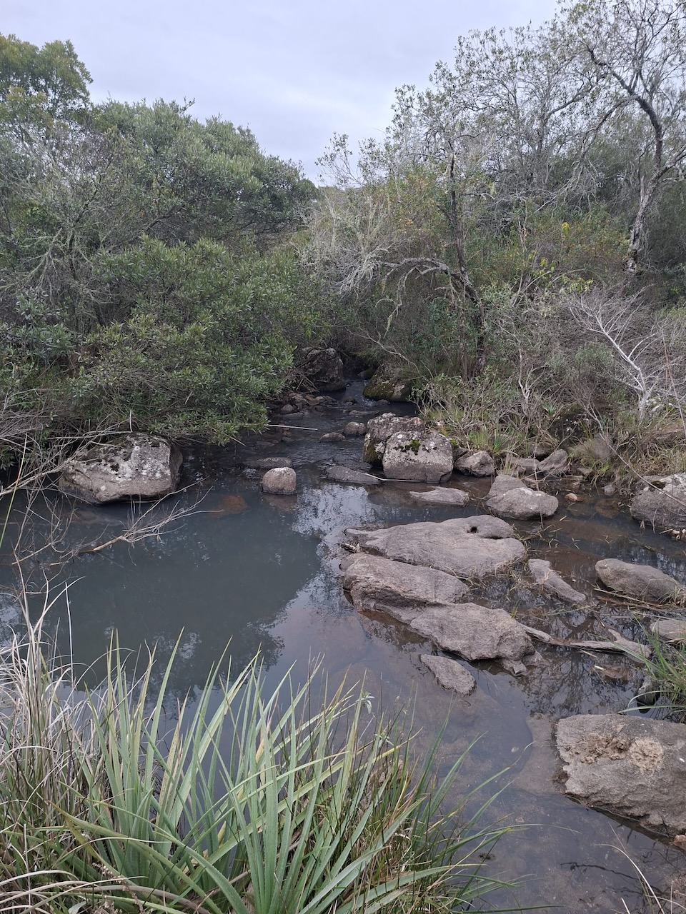 Chacra en venta en Cumbres de Aiguá, Ruta 109, Maldonado — monte nativo y sierras (foto 6)