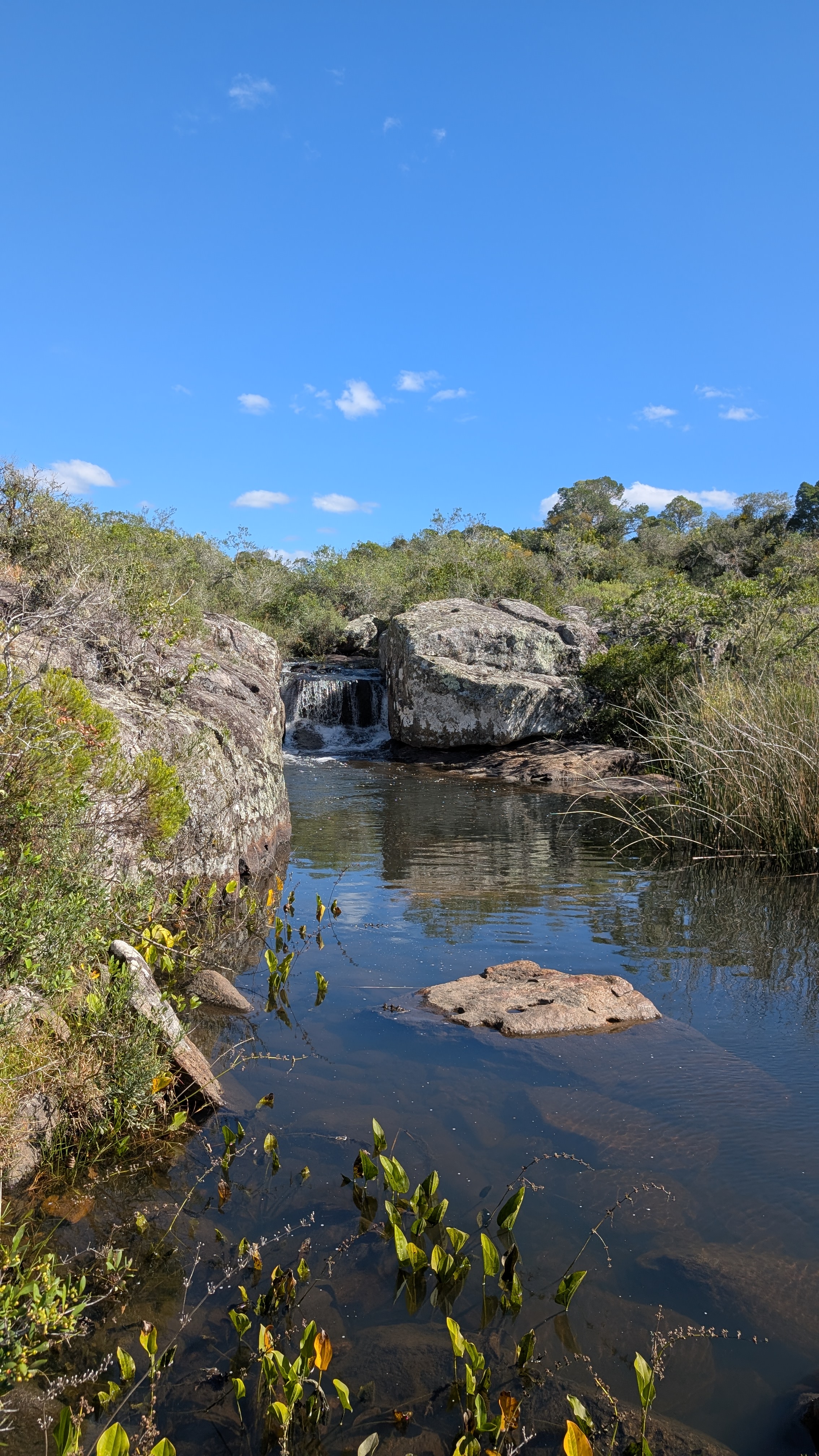 Chacra en venta en Cumbres de Aiguá, Ruta 109, Maldonado — monte nativo y sierras (foto 1)