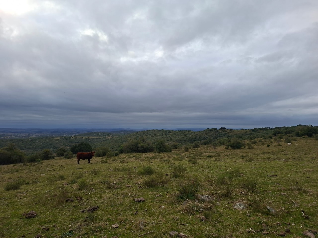 Chacra en venta en Cumbres de Aiguá, Ruta 109, Maldonado — monte nativo y sierras (foto 8)