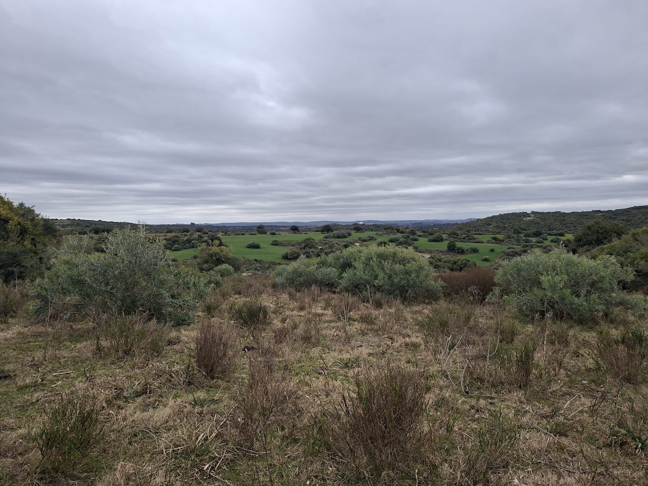 Chacra en venta en Cumbres de Aiguá, Ruta 109, Maldonado — monte nativo y sierras (foto 9)